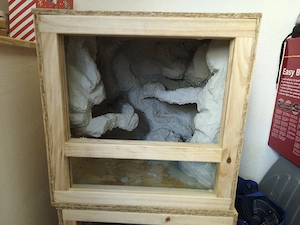 terrarien zu verkaufen 50x50x50cm Bild 2