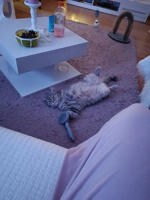 Bkh 3 Jahre