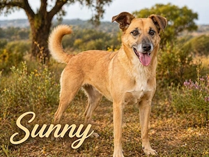 Sunny, eine selbstbewusste Dame!