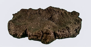 magnetstein aquarium meerwasser seitenscheibe ablegerstein koralle