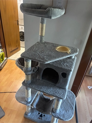 kratzbaum zu verschenken