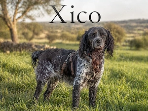Xico, ein dufter Kumpel!