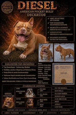 Bully Deckrüde 
