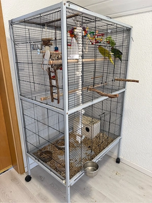 vögel mit kafig und zubehör Bild 5
