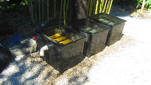 Teichfilter, Bio-Teichfilter mit 3 Kammern
