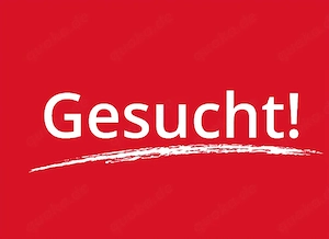 suche eine zwei Katze Kitten * weiblich * die ein gemütliches zuhause suchen 