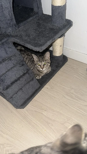 Mama und Baby Bild 2