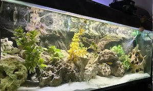 komplettes Aquarium