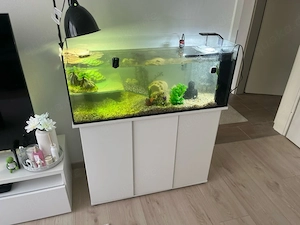 Aquarium+ Zubehör und Schrank 