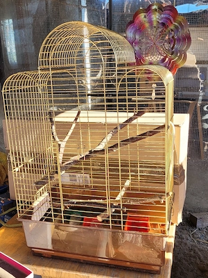 Vogelkäfig,  Voliere 