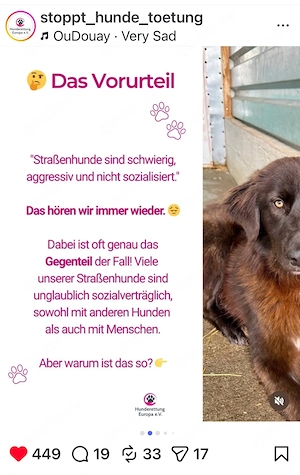 Hundefreunde, bitte lesen und in Social Media TEILEN      