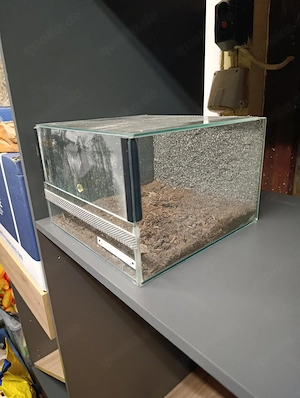 Terrarien Terrarium Spinnen Terrarium 
