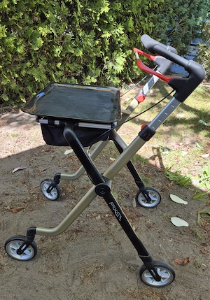Indoor-Rollator Pixel