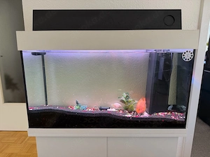 Aquarium komplett zu verkaufen   mit Unterschrank & 4 Fischen