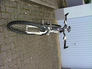 Fahrrad Jugendbike Bild 2
