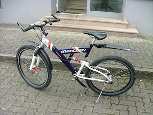 Fahrrad Jugendbike Bild 4
