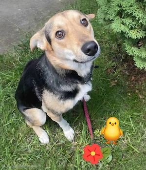 Svend 2 Jahre alt. 