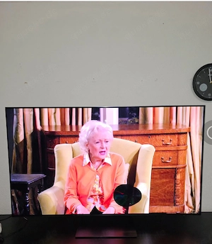 Samsung OLED GQ55S90CAT Smart Tv (Beschreibung lesen)