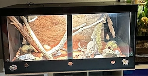 2 Terrarien (leer, sehr guter Zustand)