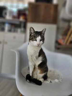 Arija (Arya) Freundliche Prinzessin sucht ihr Traumschloss
