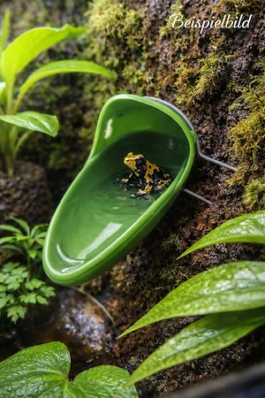 Künstliche Bromelientrichter