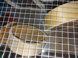 Verkaufe Kleines Nager Gehege