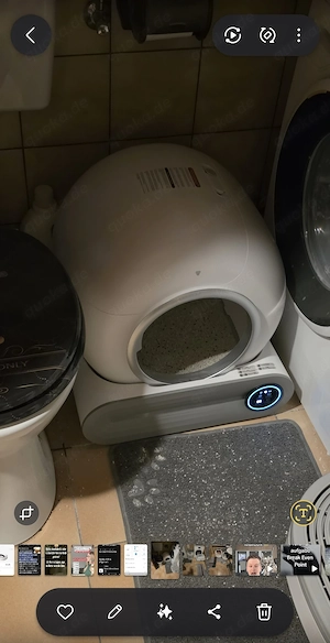 Elektrische Katzentoilette zu verkaufen 