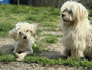 Kim & Klaus - uns gibt es nur im Doppelpack Bild 4