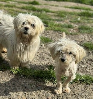 Kim & Klaus - uns gibt es nur im Doppelpack Bild 6