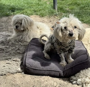Kim & Klaus - uns gibt es nur im Doppelpack Bild 8