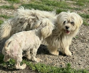 Kim & Klaus - uns gibt es nur im Doppelpack Bild 3