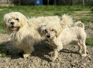 Kim & Klaus - uns gibt es nur im Doppelpack Bild 10
