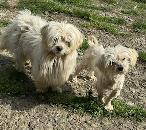 Kim & Klaus - uns gibt es nur im Doppelpack Bild 9