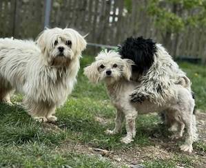 Kim & Klaus - uns gibt es nur im Doppelpack Bild 5