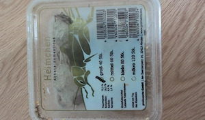 Futterinsekten Heimchen groß 
