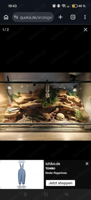 Terrarium Eigenbau 