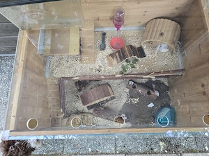 Hamster Mäusekäfig zu verkaufen