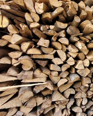 Brennholz Buche trocken gelagert.