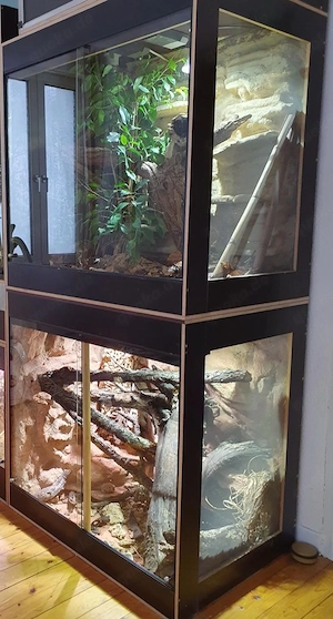 2x Terrarium 100x70x100 (LxBxH) aus Siebdruck