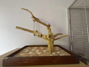 Papageien Sitzbaum aus Java Holz 