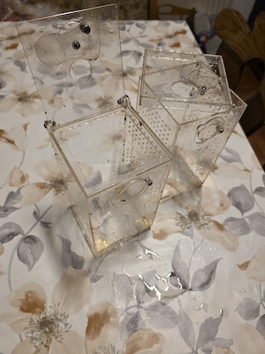 Terrarien und Haplotanks  Bild 2