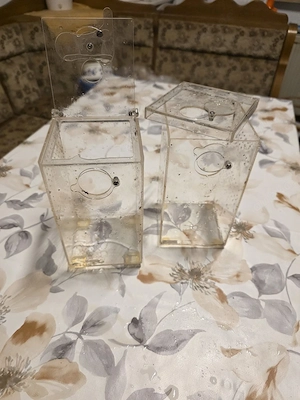 Terrarien und Haplotanks  Bild 10