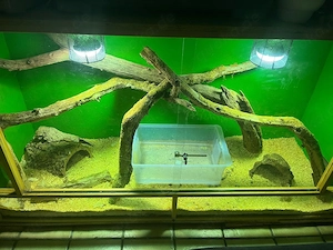 terrarium OSB 180x60x100