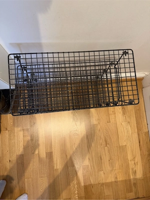 schuhregale