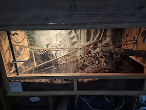 Terrarium 