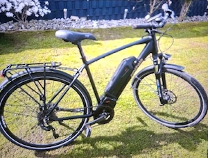E-Bike Prophete Herren 28 Zoll Top Zustand 
