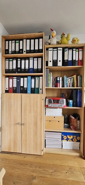 Büro Regal mit Türen