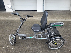 Pfautec Scoobo E-Dreirad für Erwachsene, Bosch 500Wh