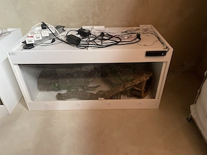 Verkaufe Terrarien