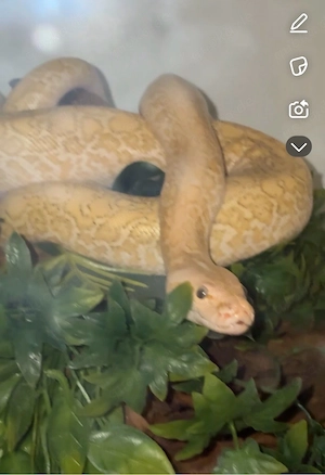 1.0 Hypo Granit + Terra's